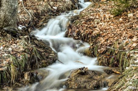 Water trails