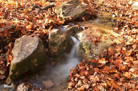 <p>Pour obtenir un effet laiteux et brumeux sur des cascades ou ruissellements, il suffit simplement d'augmenter le temps de pose.
</p><p>Il est conseillé d'utiliser le mode "priorité à la vitesse", ce mode permet de se concentrer sur la durée d'exposition, l'appareil s'occupera des autres réglages.
</p><p>Augmenter le temps de pose, c'est augmenter la durée d'exposition et par conséquent il est nécessaire de faire quelques tests et de vérifier que la photo ne soit pas trop surexposée.
</p><p>Il arrive dans certaines situations que l'utilisation du mode manuel soit plus judicieux.
</p><p>Si vous tombez sur un magnifique ruissellement et qu'il fait très beau, il se peut que cette technique devienne irréalisable sans équipement supplémentaire.
</p><p>En effet, la luminosité ambiante peut être tellement forte qu'elle vous empêchera de poser assez longtemps pour avoir cette impression de filé...
</p><p>Dans ce cas là, l'utilisation d'un filtre gris neutre est incontournable.
</p><h3>Un filtre quoi .. ?
</h3><p>Gris neutre ! Ces filtres ont le même rôle que des lunettes de soleil, ils vont permettre une exposition plus longue car ils vont diminuer la quantité de lumière qui entre dans l'objectif.
</p><p>Il existe plusieurs intensités de gris selon les besoins et les effets recherchés, ainsi, de la même façon que les filtres UV qui servent bien souvent de protection, celui ci devra être vissé sur l'objectif.
</p>